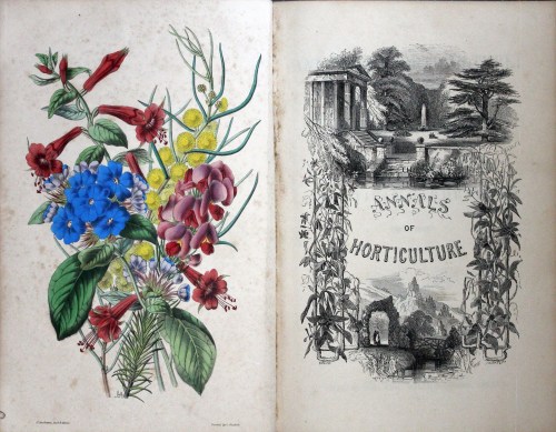 Attractive colour frontispiece showing many different flowers and an illustrated titlepage