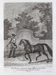 a trotting horse held by a trainer with a long lead