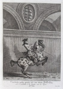 A horse rearing back on its hind legs