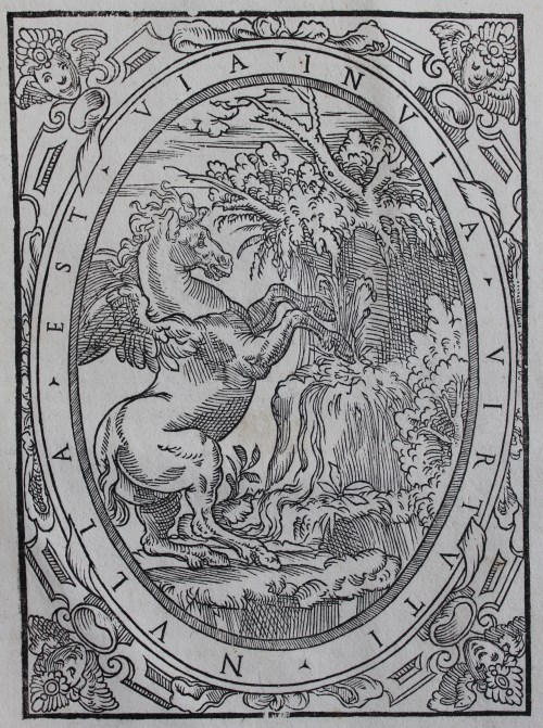 Pegasus rears back on its hind legs next to a spring