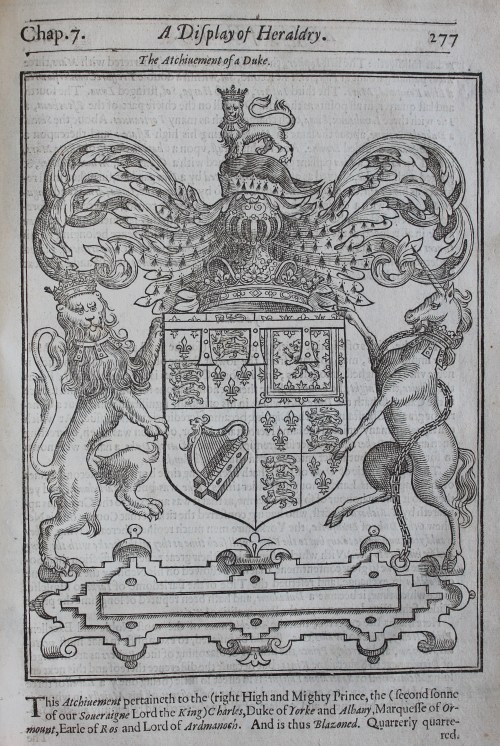 A large illustration of a coat of arms