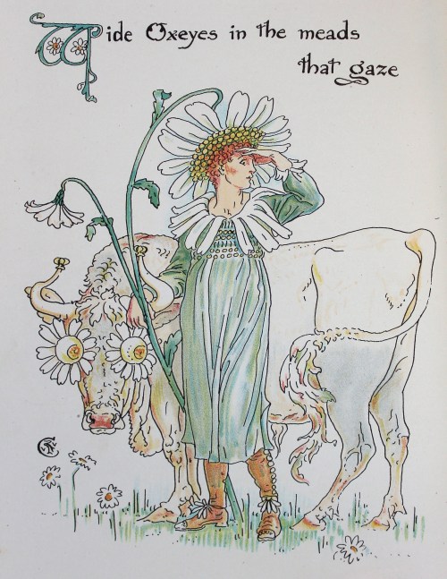 A boy dressed as a daisy, in front of an ox with flowers for eyes