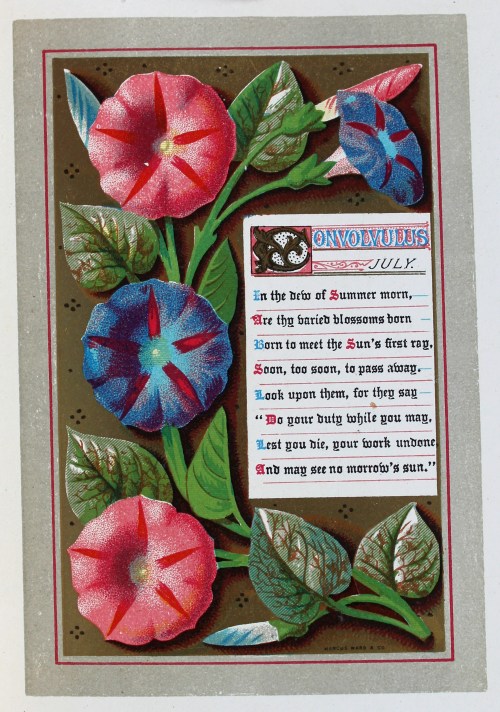 Flowers for July with an inset poem