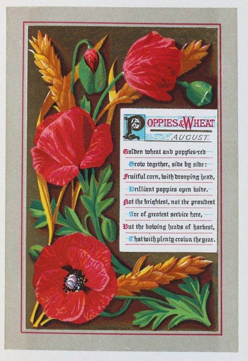 Poppies and wheat with an inset poem
