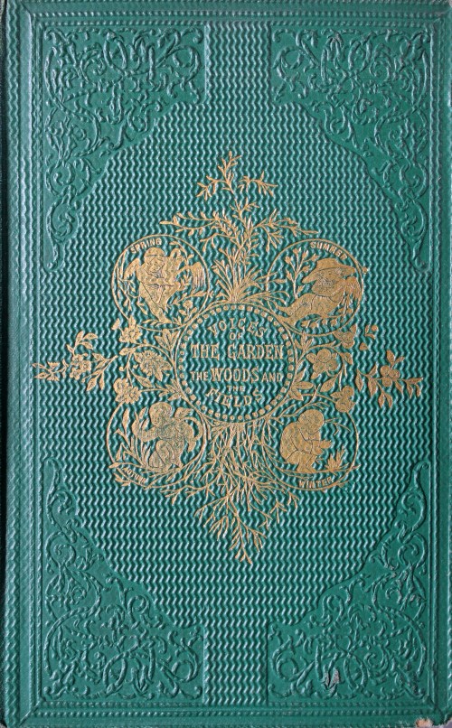Green binding with title and title decoration in gold