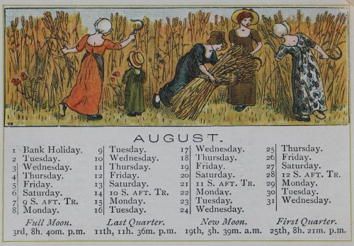 Women and a child in a field cutting hay